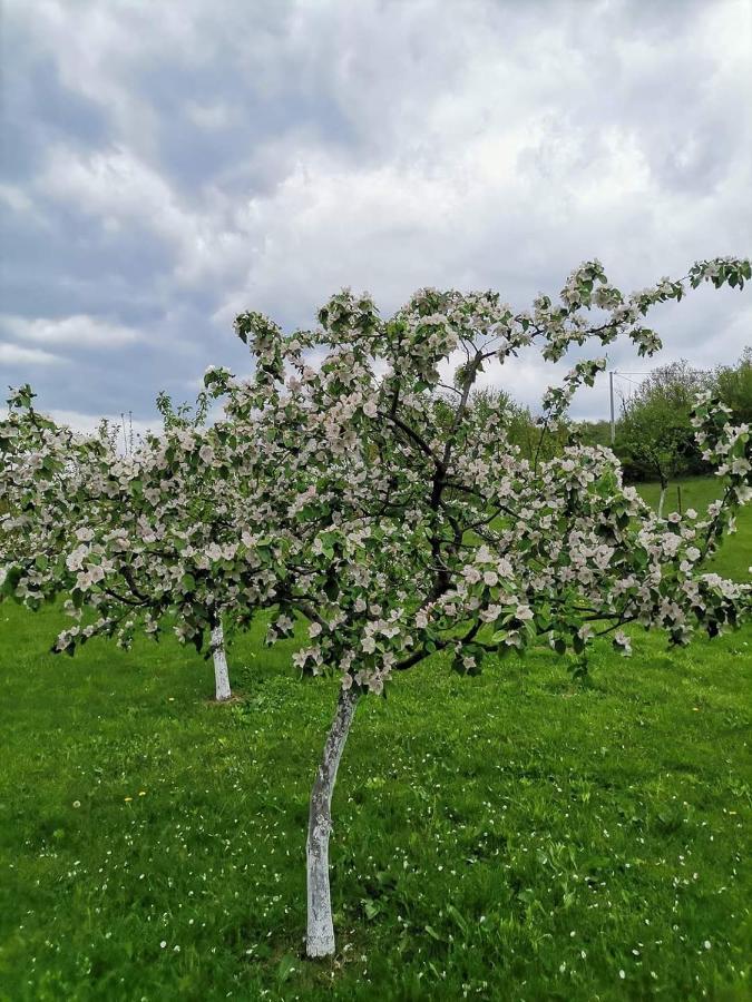Villa Lana Bihać Eksteriør bilde